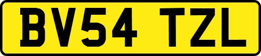 BV54TZL