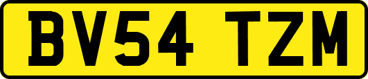 BV54TZM