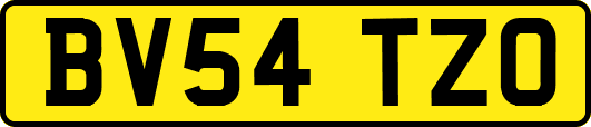 BV54TZO