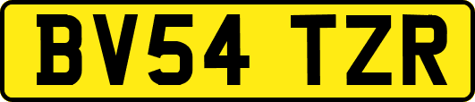 BV54TZR