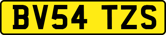 BV54TZS