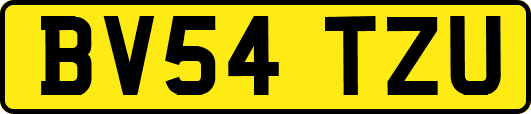 BV54TZU