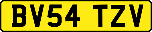 BV54TZV