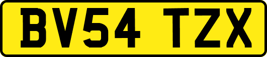 BV54TZX