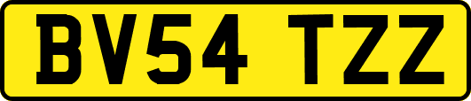 BV54TZZ