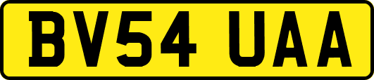 BV54UAA