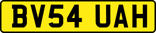 BV54UAH