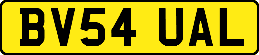 BV54UAL