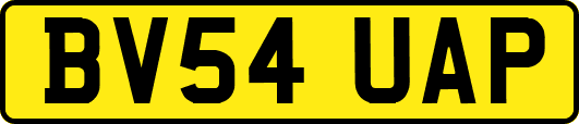 BV54UAP