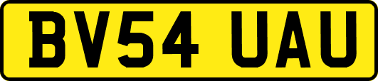 BV54UAU