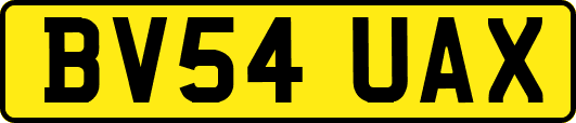 BV54UAX
