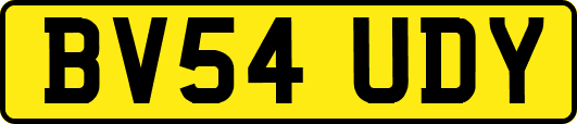 BV54UDY