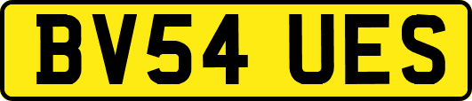 BV54UES