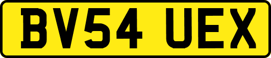 BV54UEX