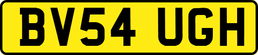 BV54UGH