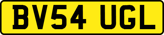BV54UGL