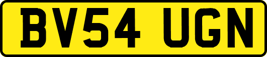 BV54UGN