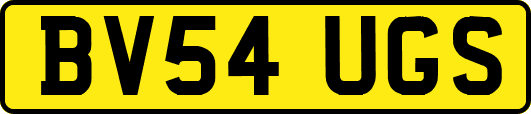 BV54UGS