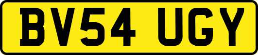 BV54UGY