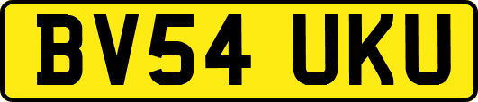 BV54UKU
