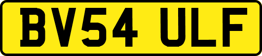 BV54ULF