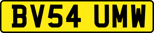 BV54UMW