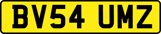 BV54UMZ