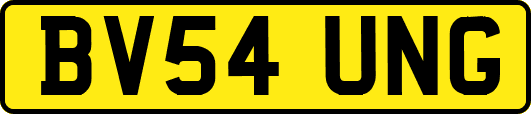 BV54UNG