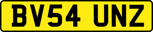 BV54UNZ