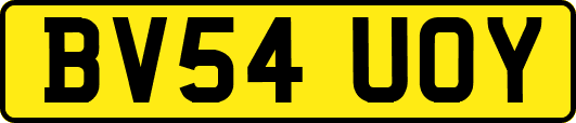 BV54UOY