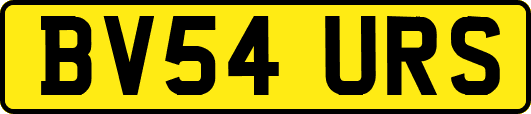 BV54URS