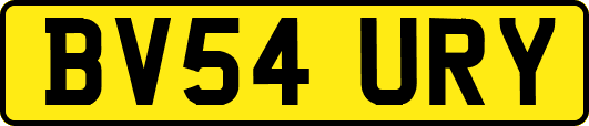 BV54URY