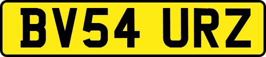 BV54URZ