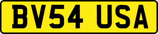 BV54USA