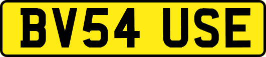 BV54USE