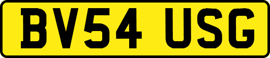 BV54USG