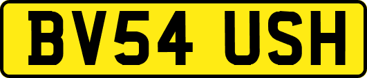 BV54USH