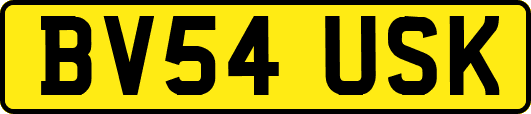 BV54USK