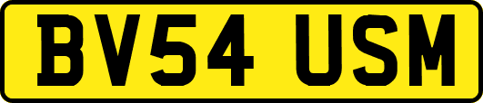 BV54USM