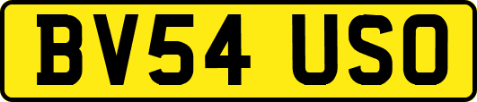 BV54USO