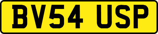 BV54USP