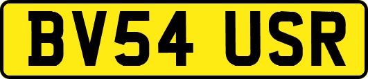 BV54USR
