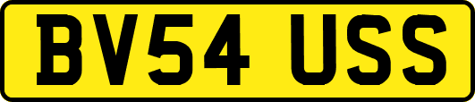 BV54USS