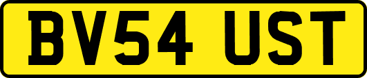 BV54UST