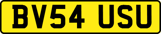 BV54USU