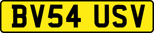 BV54USV