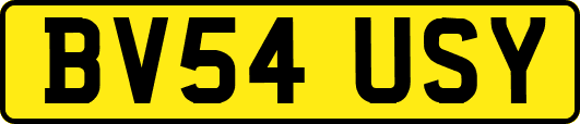 BV54USY