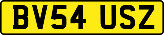 BV54USZ