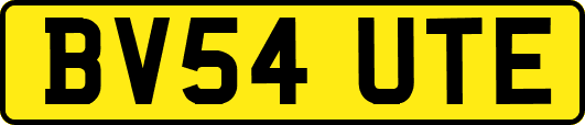 BV54UTE