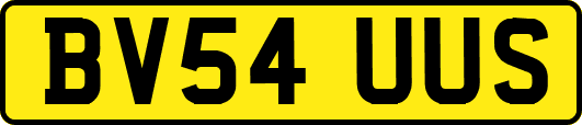 BV54UUS
